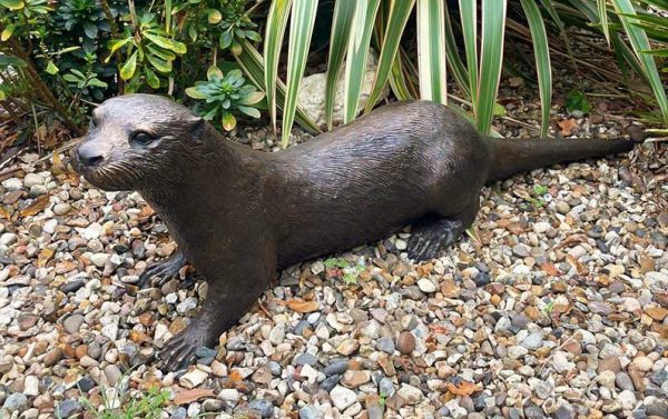 Bronze Single British Otter-1 : Escar UK Bronze