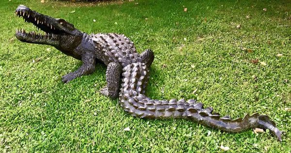 Hollow Cast Bronze Crocodile Non Water Feature-1 : Escar UK Bronze