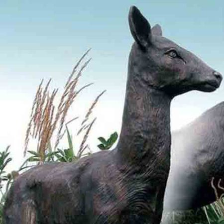 Bronze Red Deer Hind : Escar UK Bronze