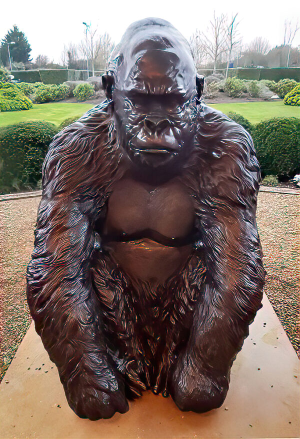 Hollow Cast Bronze Gorilla : Guy the Silverback-1