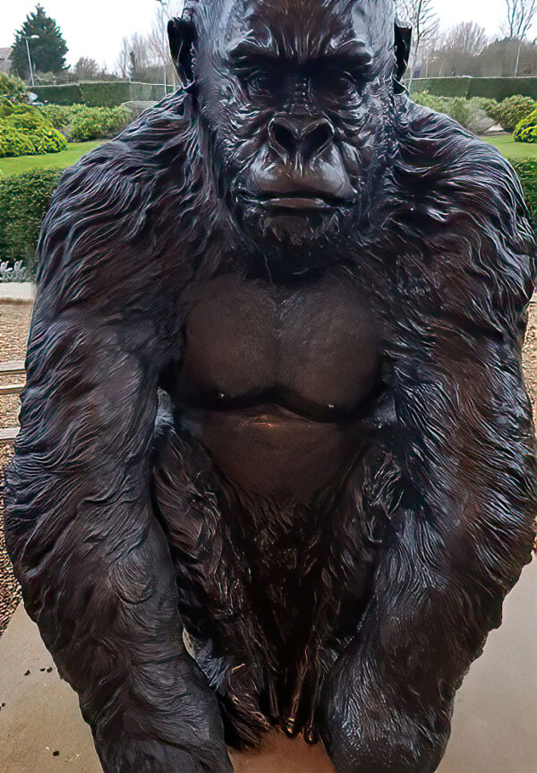 Hollow Cast Bronze Gorilla : Guy the Silverback-2