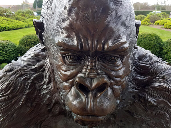 Hollow Cast Bronze Gorilla : Guy the Silverback-4