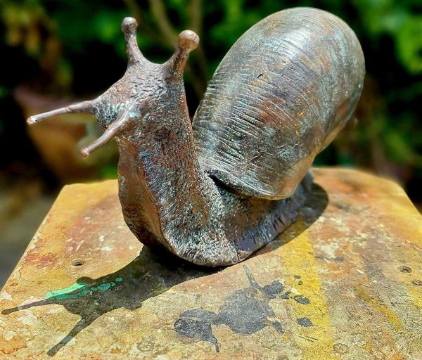 Hollow Cast Bronze Snail : Brian : Large-5