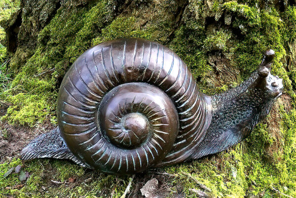 Hollow Cast Bronze Snail :Brian : Large-1