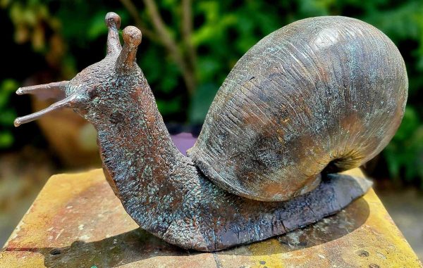 Hollow Cast Bronze Snail : Brian : Large-7