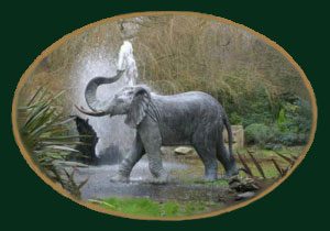 Tawan Elephant Header Logo : Escar UK Bronze