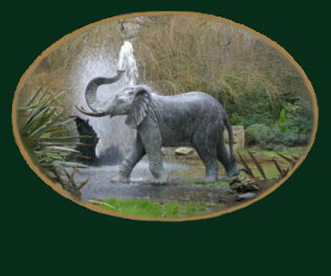 Tawan Bull Elephant Header Logo : Escar UK Bronze