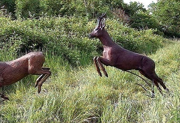 Bronze Roe Deer Leaping : Escar UK Bronze