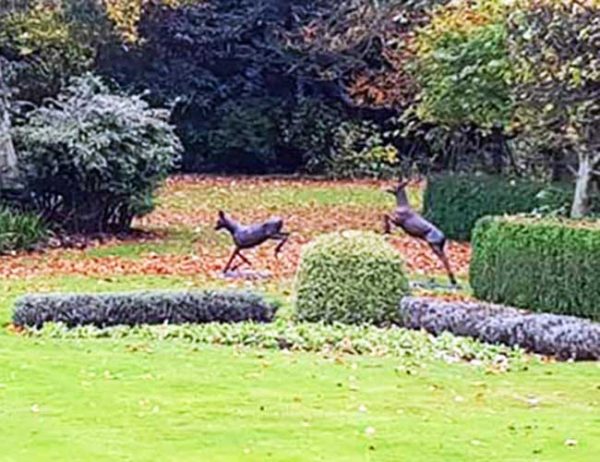 Bronze Roe Deer Leaping : Escar UK Bronze