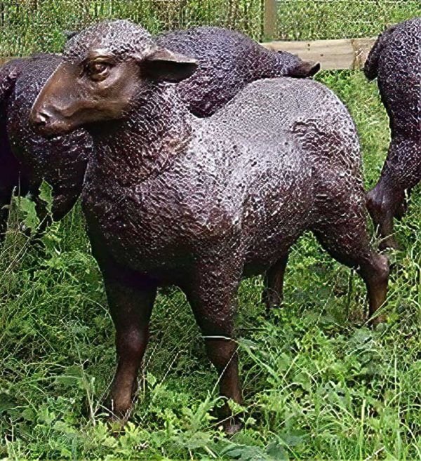 Bronze-Sheep-Standing