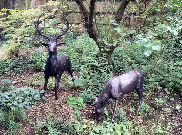 Bronze White-Tail Deer Buck-1 : Escar UK Bronze