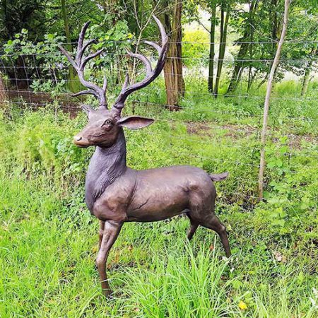 Bronze White-Tail Deer Buck : Escar UK Bronze