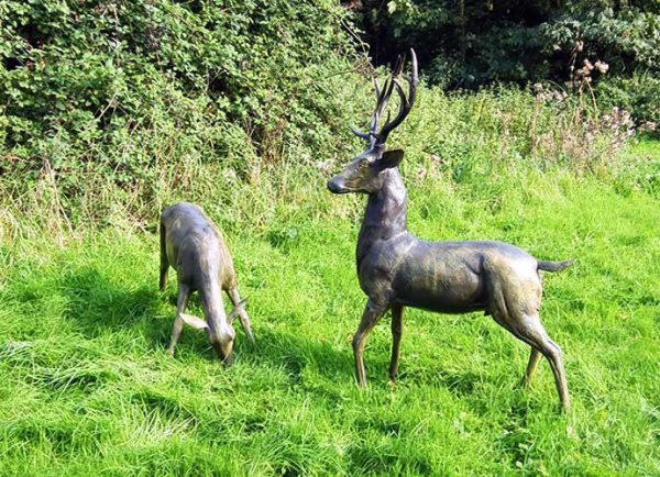 Bronze White-tail Mating Pair-1 : Escar UK Bronze