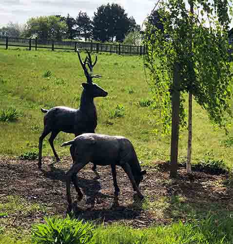 Bronze White-tail Mating Pair-3 : Escar UK Bronze