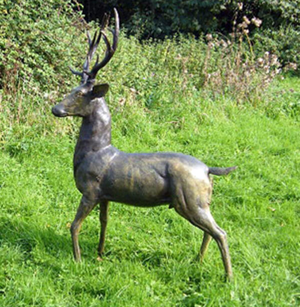 Hollow Cast Bronze Deer : White-tailed Deer : Standing Buck-1