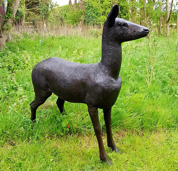 Hollow Cast Bronze Deer : White-tailed Deer Hind : Head Up-1