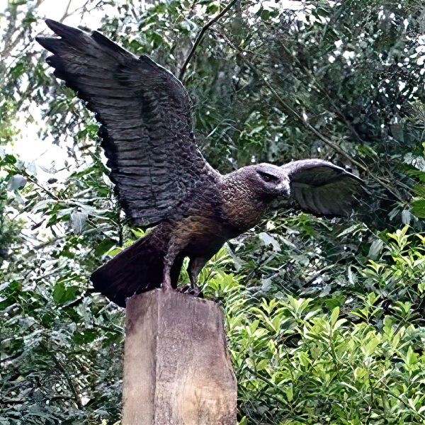 Hollow Cast Bronze Bird : Common Buzzard : Bird of Prey-1