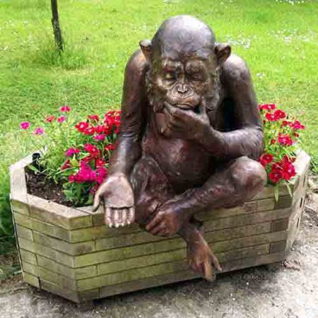 Bronze Chimp : Thinking Chimp Brains : Escar UK Bronze