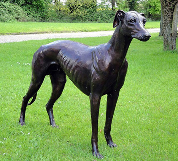 Hollow Cast Bronze Dog : Greyhound : Flash : Dark Brown Coat-1