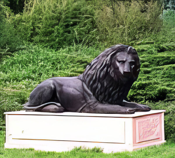 Hollow Cast Bronze African Lions on Marble Plinths-1