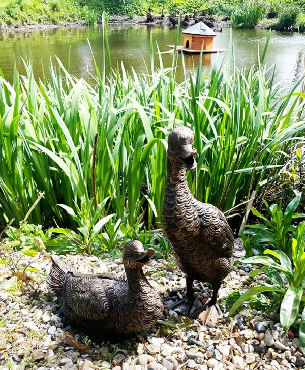 Hollow Cast Bronze-Birds-Ducks-Daffy-&-Dewey-1