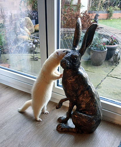 Bronze Seated Hare Harley & Lemi : Escar UK Bronze