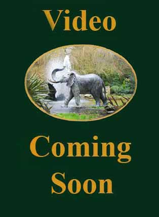 Video Coming Soon : Escar UK Bronze