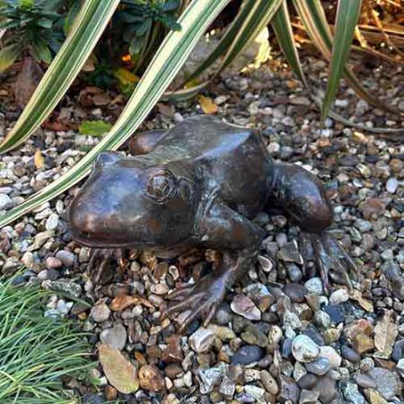 Bronze Frog Ribbit : Water Feature : Escar UK Bronze